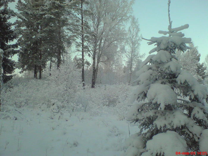 СОЛНЦЕ ДАЖЕ НАД МАКУШКАМИ НЕ ПОКАЗАЛОСЬ