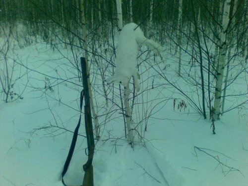Превый ЛИЧНО затроплённый 09.01.2009