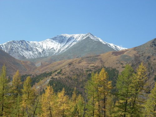 Алтай. Золотая осень в горах.