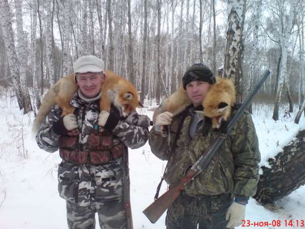 выжловка русской гончей что это. Смотреть фото выжловка русской гончей что это. Смотреть картинку выжловка русской гончей что это. Картинка про выжловка русской гончей что это. Фото выжловка русской гончей что это