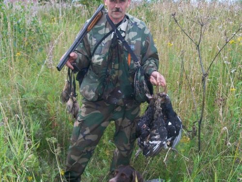 Dublet со Златой