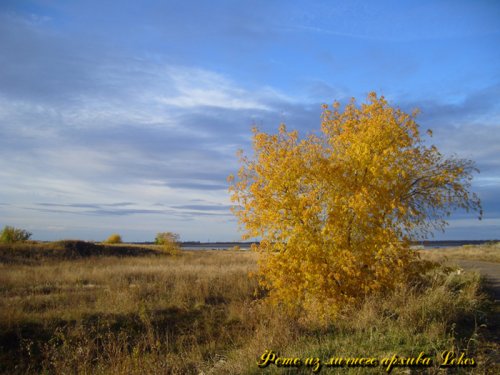 Краски осени.