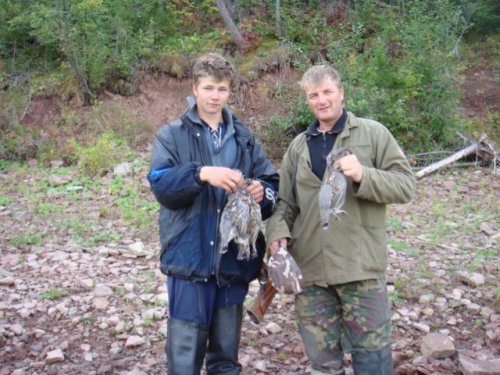 На рябчиков