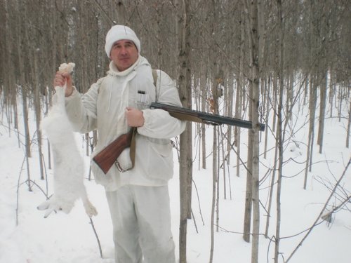 Нелегко взять беляка в таких зарослях. Ноябрь 2009 г.