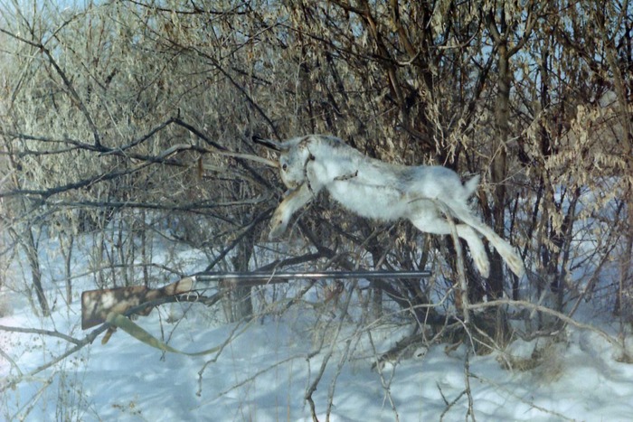 Февраль 2008