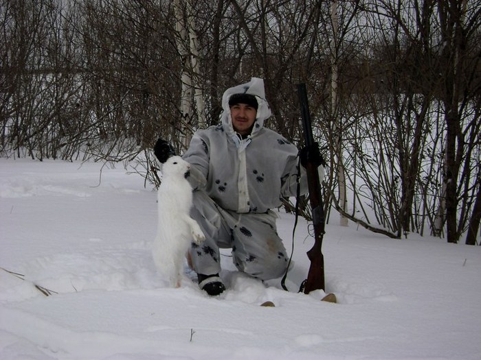 Хитрый зайка