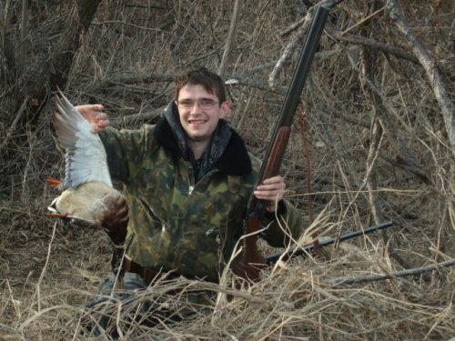 весенний селезень