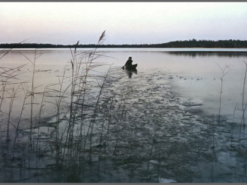 Забереги.