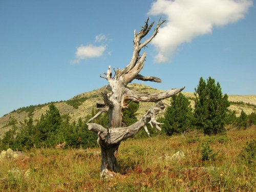 Шерегеш
