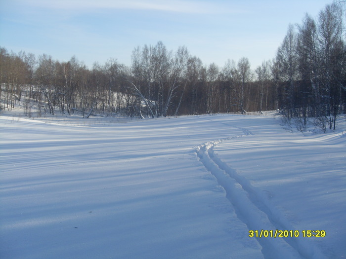 наш зимний сибирский лес