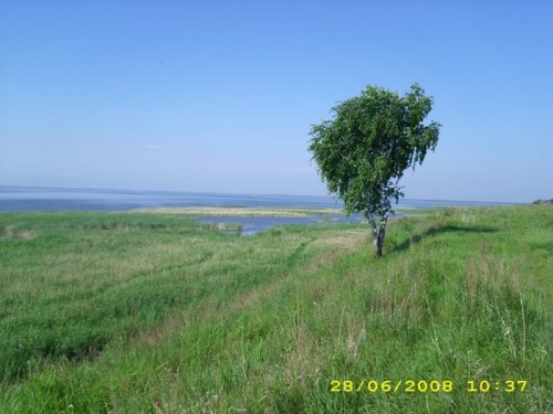 Озеро Ик.Крутинский район Омской области