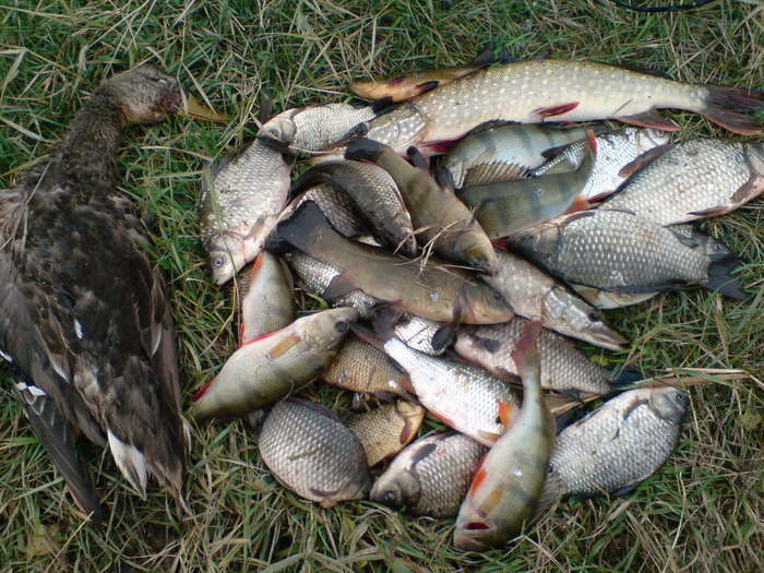 баландино.28.09.09.