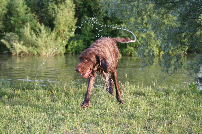 водные про-ы