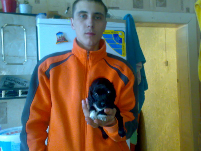 ))))