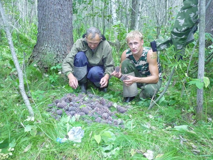 На баксоне!