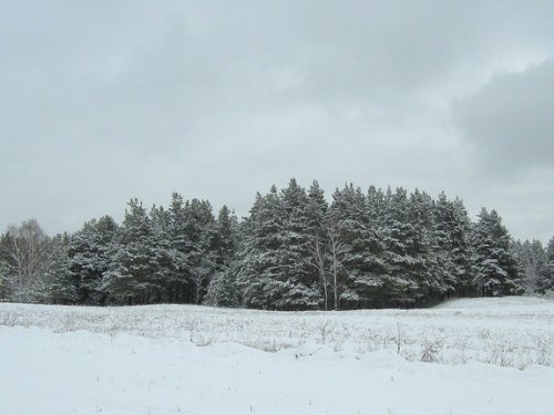 Фотоохота перед Пасхой
