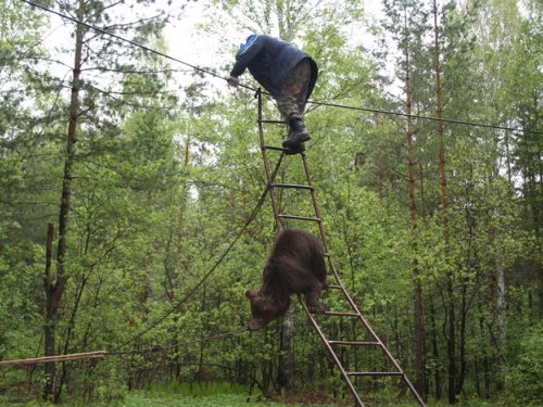  А так хотелось съесть дяденьку