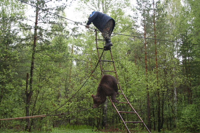  А так хотелось съесть дяденьку