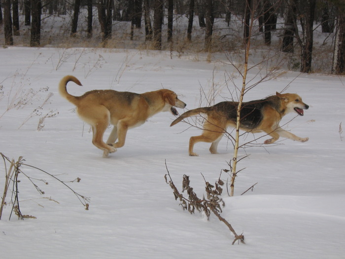 прогулка
