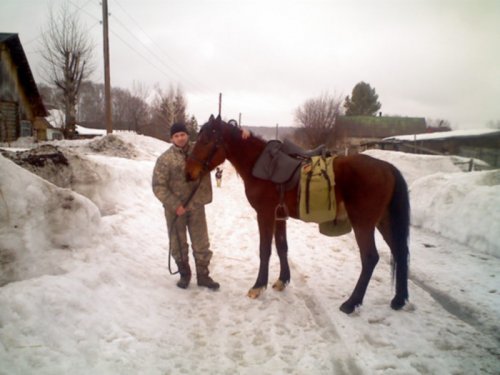 Максюта и снаряженный конь Бросок перед отъездом