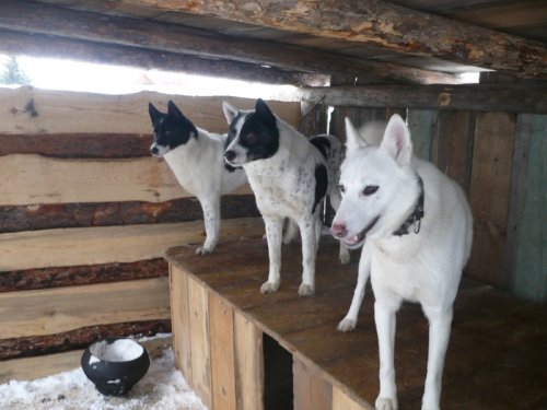 на 1-й, 2-й, 3-й расчитайсь