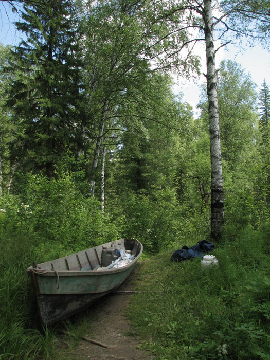 В ожидании....