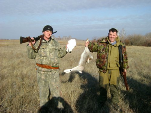 Белая куропатка и зайчик!