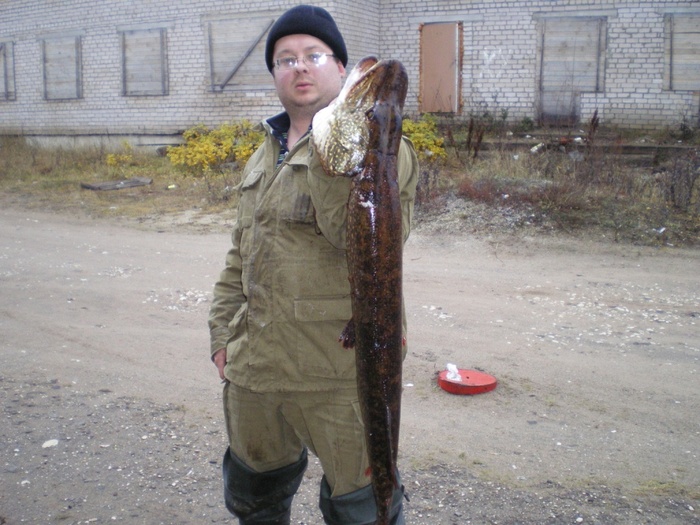 осень 2009 ...12800 ...