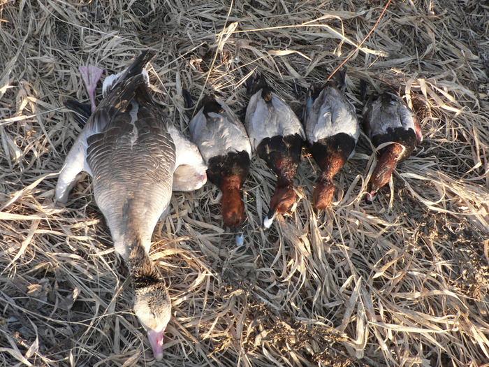 Весна 2010г открытие охоты