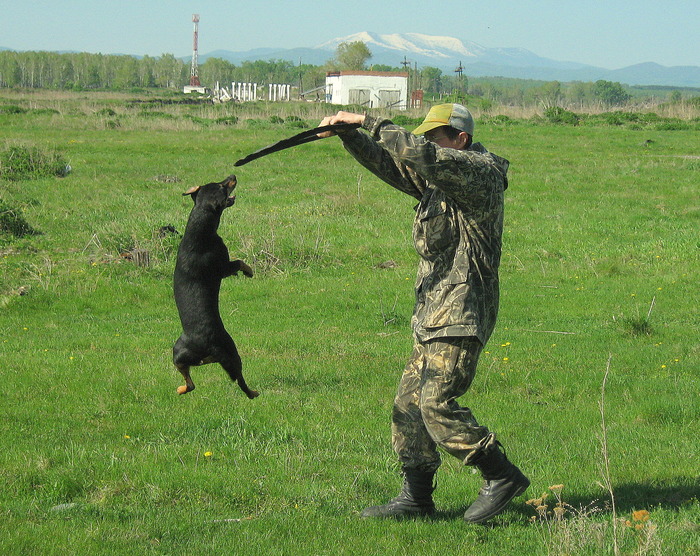 Разминка.
