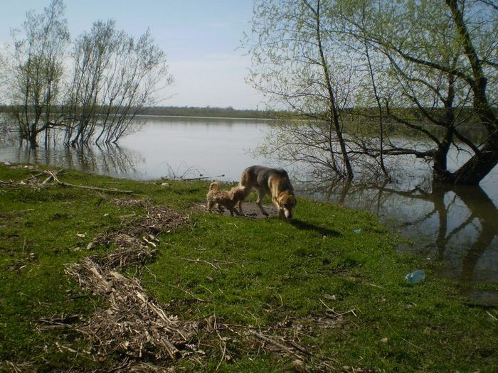 Здесь зайцев нет.пошли отсюда хозяин.