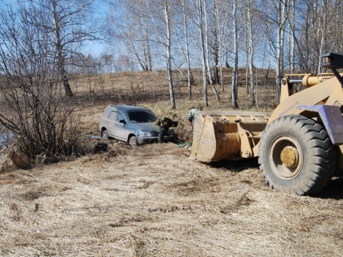 посадил Саня репку........... пришлось звать мышку )))