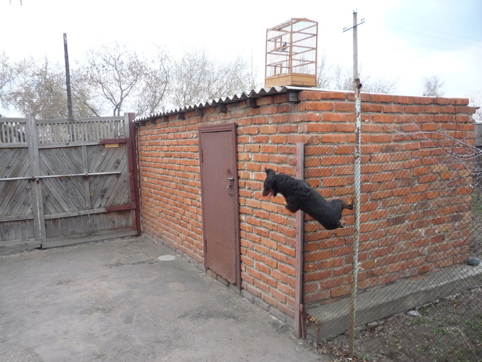 Все равно достану
