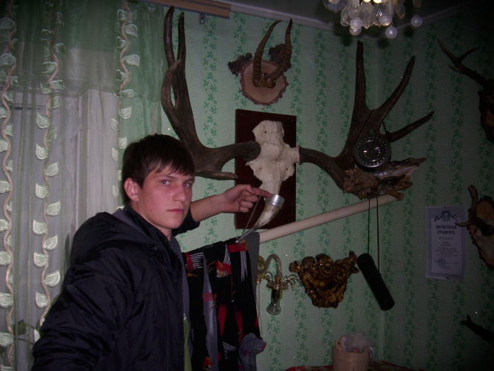 Сохатый отбегался