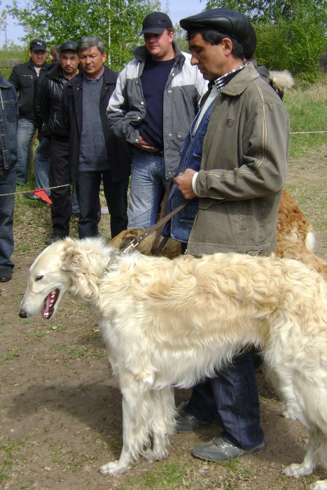 Омская выставка 2010г.РПБ Полет