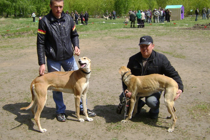 Хортые Омская выставка 2010г.