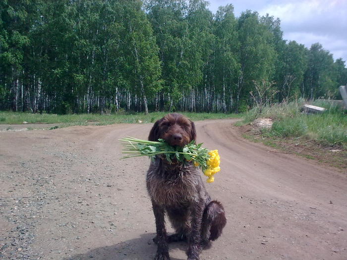 Привет из леса!