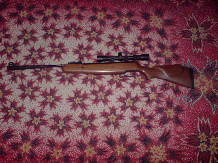 stoeger x20