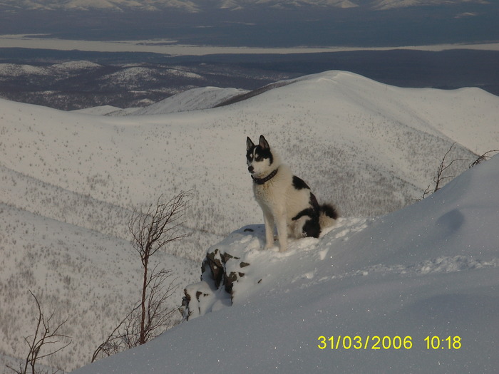 охотник...