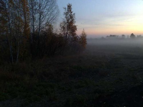 на зорьке