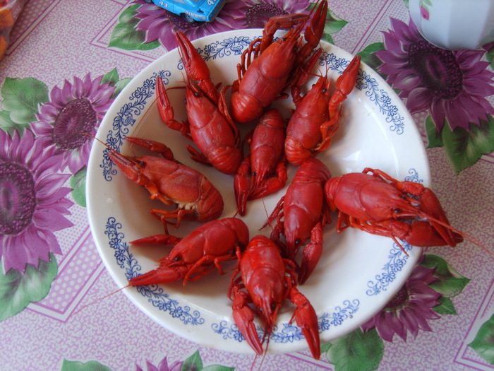 раки
