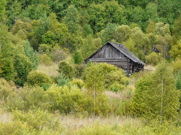 Фото кедровый красноярский край