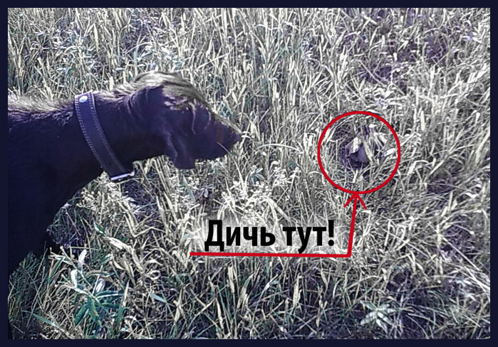 Работаем!