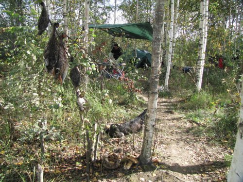 Наш стан и осенние дары природы 