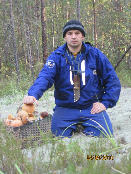 на тихой охоте