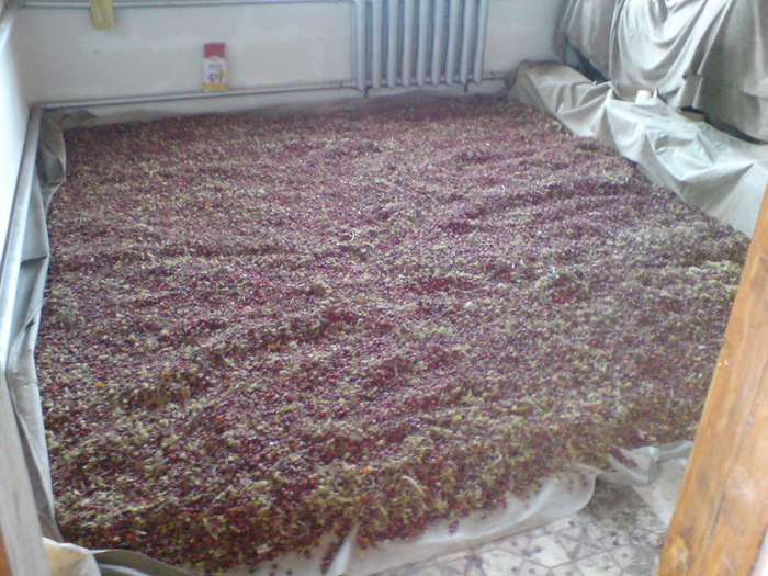 клюква