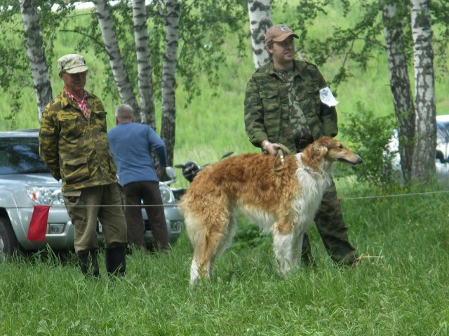 Выставка