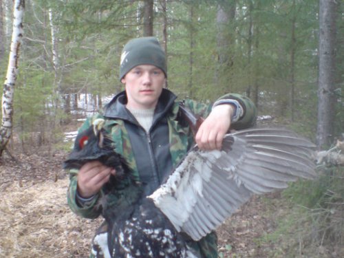 глухарик с тока в 2008 году