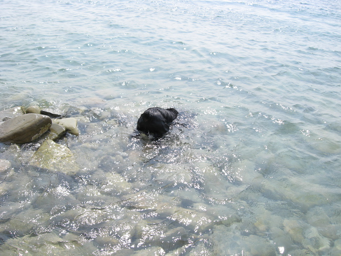 водолаз