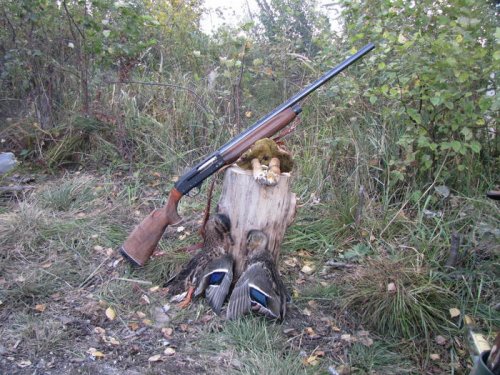 Осенний натюрморт